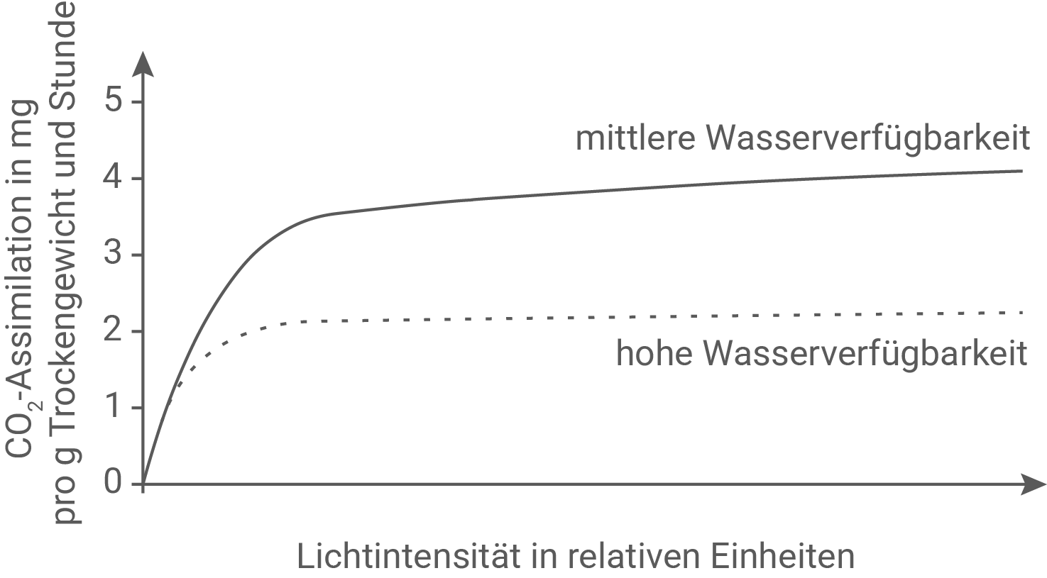 Diagramm: CO2-Assimilation pro g Trockengewicht/h gegen Lichtintensität, zwei Kurven für mittlere und hohe Wasserverfügbarkeit.